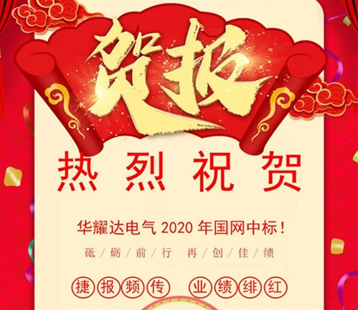 热烈祝贺PA尊龙凯时电气2020年国网中标！